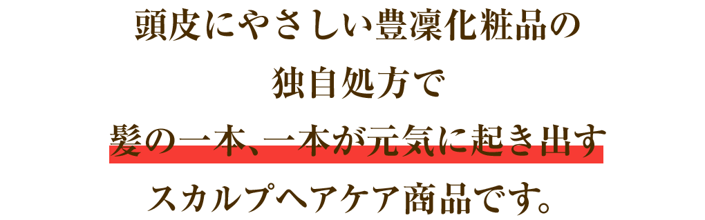 頭皮にやさしい豊凜化粧品の独自処方で髪の一本、一本が元気に起き出すスカルプケア商品です。